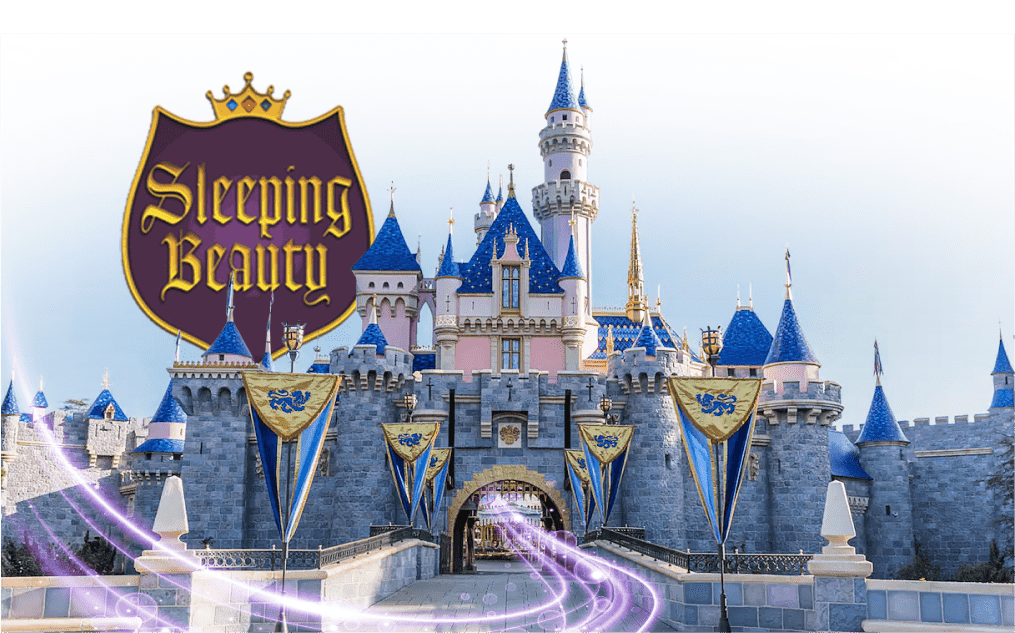 Exhibit design in the iconic Disney Sleeping Beauty Castle